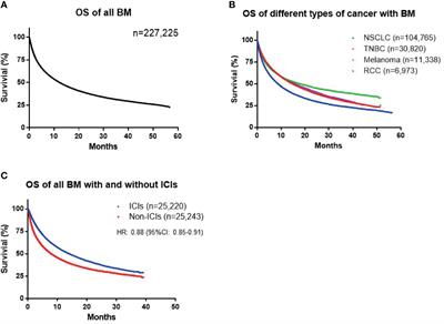 A Retrospective Study of Brain Metastases From Solid Malignancies: The Effect of Immune Checkpoint Inhibitors